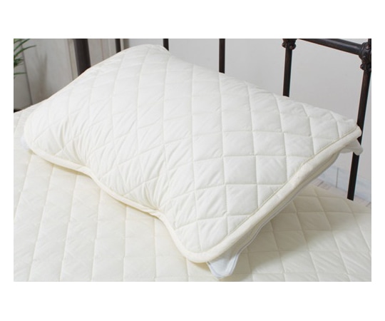 山善（YAMAZEN） 消臭ソムリエ 枕パッド YZRDSSMKP-3（IV） 1個（ご注文単位1個）【直送品】