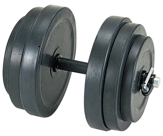 淡野製作所 ラバーベルST28 5kgセット D-5700 1個（ご注文単位1個）【直送品】