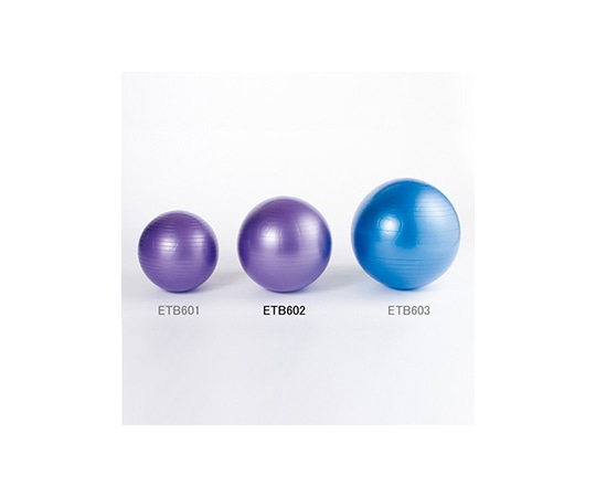 エバニュー ノンバーストバランスボール 65 ETB602 1個（ご注文単位1個）【直送品】