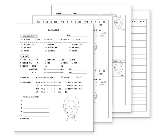 CML エステティック カウンセリング カルテ 5セット K030210 1個（ご注文単位1個）【直送品】