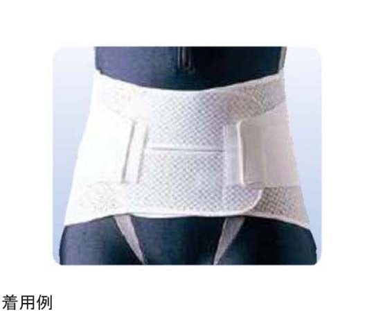 アシスト ハードデラックス・メッシュ S 00790 1本（ご注文単位1本）【直送品】