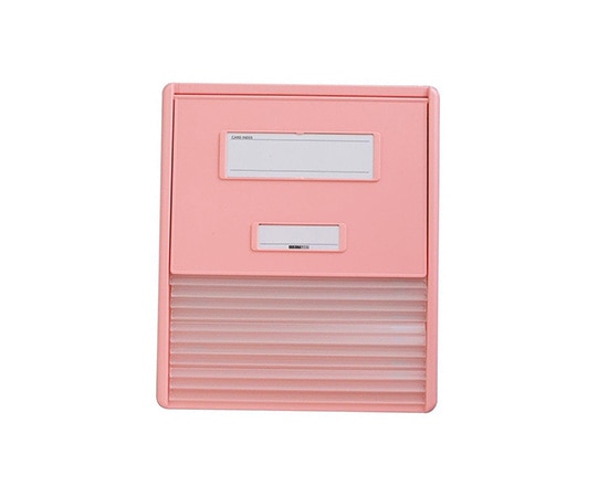 LIHITLAB カードインデックス A4（横1面）10名用 ピンク HC111C-4 1冊（ご注文単位1冊）【直送品】
