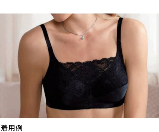 シグマックス 専用下着 イサベル ブラック 80C 882133 1枚（ご注文単位1枚）【直送品】