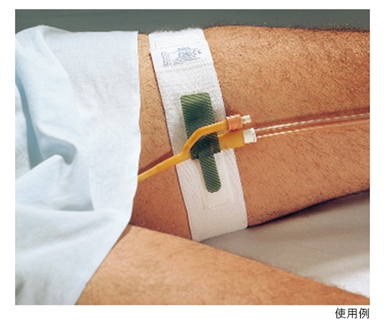 名優 デイル・カテーテルホルダー 腰用 10本入 H84103301 1箱（ご注文単位1箱）【直送品】