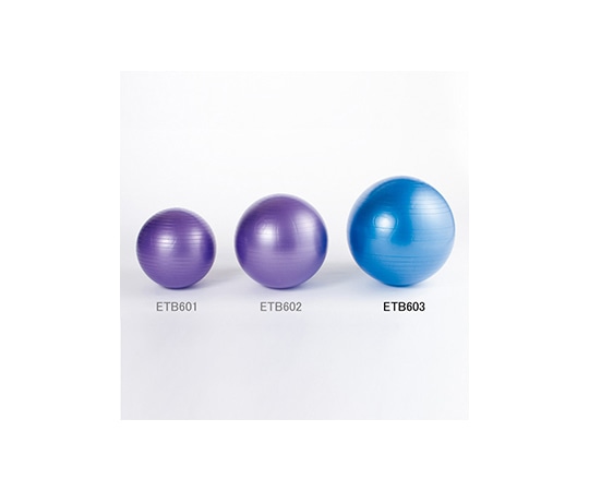 エバニュー ノンバーストバランスボール 75 ETB603 1個(ご注文単位1個)【直送品】