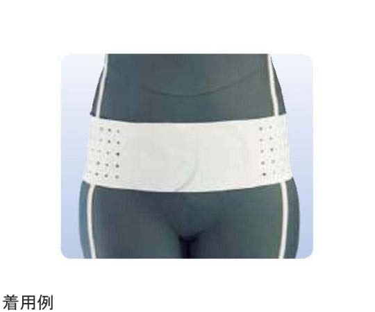 アシスト 丸型骨盤バンド ライト L 00146 1本（ご注文単位1本）【直送品】
