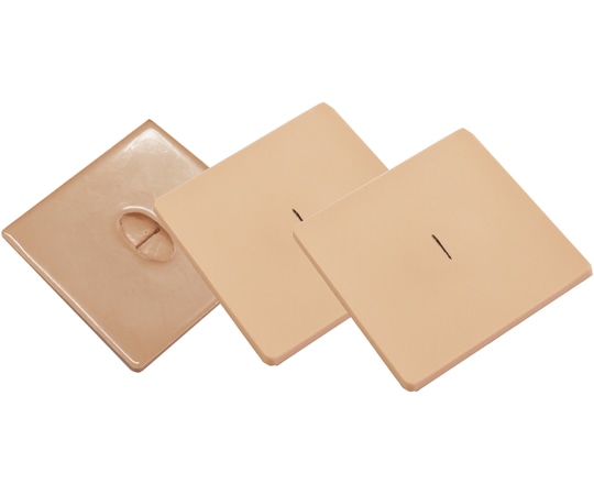 レジーナ ドレーン部処置モデル S BDP-120 1セット（ご注文単位1セット）【直送品】