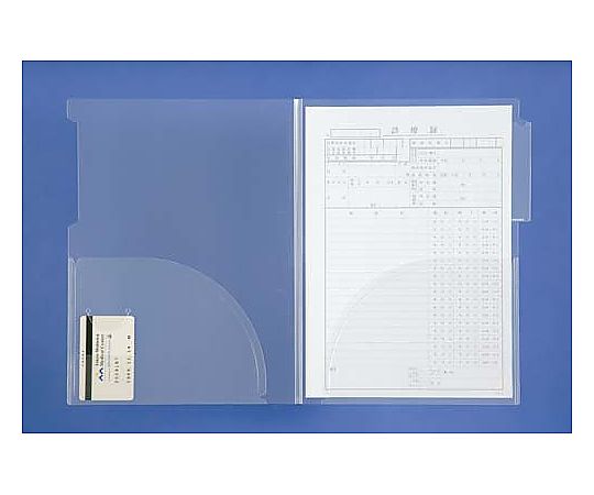 山口工業 カルテフォルダー ダブル 縦置きタイプ 10枚 YF-900 1パック（ご注文単位1パック）【直送品】