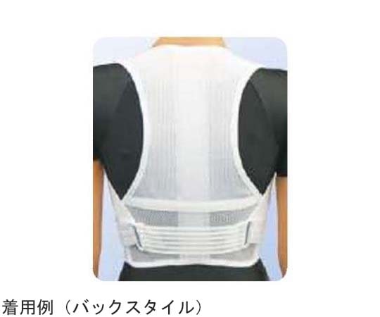 アシスト 背筋すっきりベルトワイドメッシュ（パッド付） M 00391 1本（ご注文単位1本）【直送品】