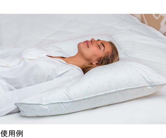 fossflakes フォスフレイクス クラシック ハーフボディピロー ミントコレクション 80×80cm FF-8080-MI 1個（ご注文単位1個）【直送品】