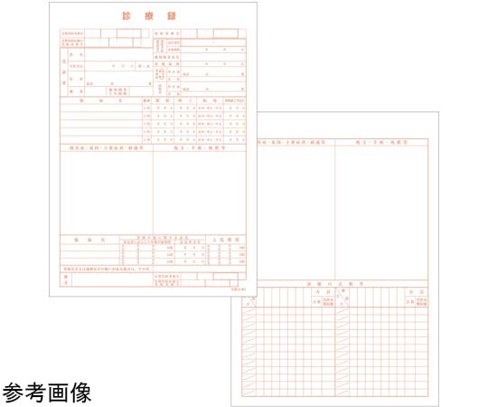 金鵄製作所 カルテ1号 A4 90kg 社保 k-001 500枚入 41012-101 1箱（ご注文単位1箱）【直送品】