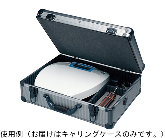 エー・アンド・デイ キャリングケース AD6121-01 1個（ご注文単位1個）【直送品】