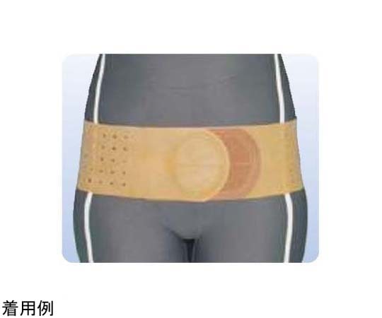 アシスト 丸型骨盤バンド・ハード L 00348 1本（ご注文単位1本）【直送品】