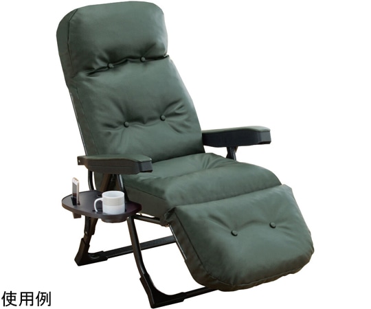 ファミリー・ライフ 日本製 NEWくつろぎのリクライニングアームチェア EXII グリーン 0411350 1箱（ご注文単位1箱）【直送品】