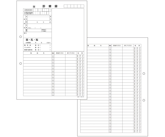 金鵄製作所 カルテ1号 A4 SK-401Y 穴あき 500枚入 41912-001 1箱(ご注文単位1箱)【直送品】