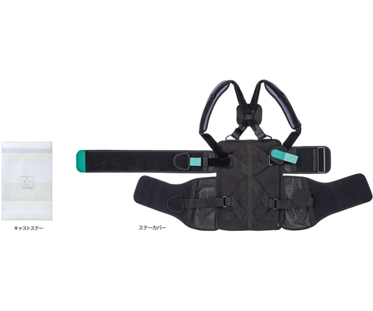 アルケア フィットキュアR・スパイン LL 21111 1箱（ご注文単位1箱）【直送品】