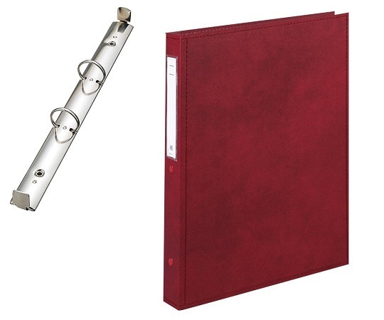 LIHITLAB カルテブック A4・2穴・スタンダード レッド CY4-2L-5 1冊（ご注文単位1冊）【直送品】