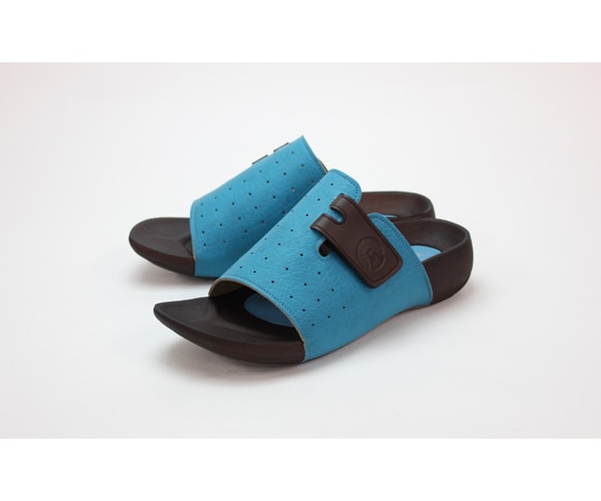 リゲッタ ルームサンダル ブルー LL（25.0~26.0） R68E BLU LL 1足（ご注文単位1足）【直送品】