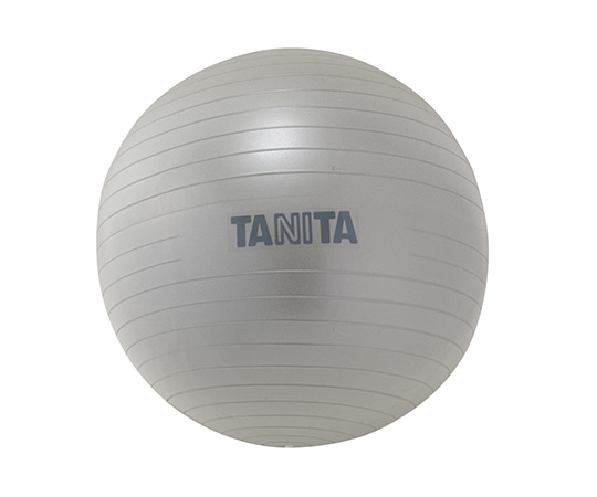 タニタ ジムボール TS-962-SV 1個（ご注文単位1個）【直送品】