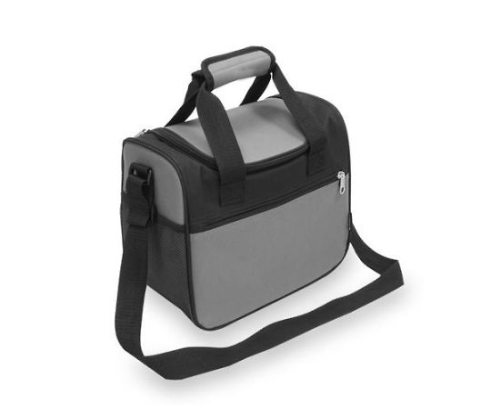 アズワン 304x171x266mm/10.65L 保冷バッグ EA925MF-73 1個（ご注文単位1個）【直送品】