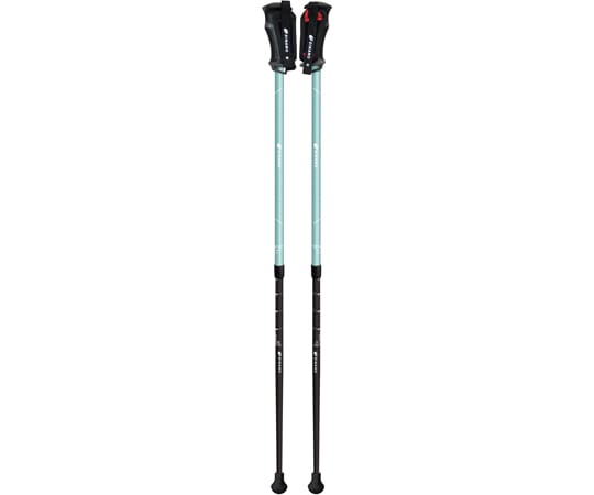 シナノ レビータネクスト スカイ 1組（2本入） 652134 1組（ご注文単位1組）【直送品】