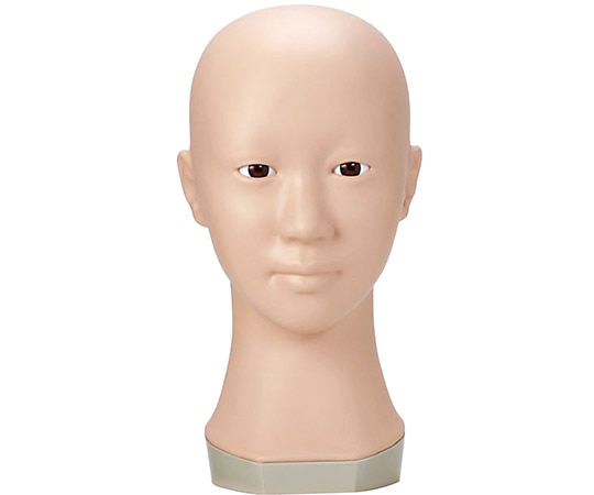 レジーナ バイオスキンドール（標準的な日本人顔） F-300NEW 1個（ご注文単位1個）【直送品】