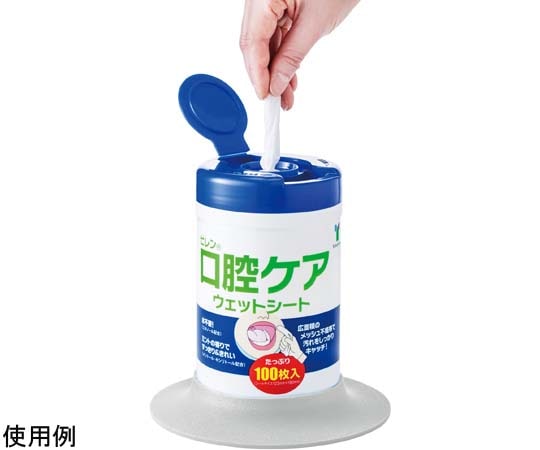 竹虎 ピレン口腔ケアウエットシート 1箱（100枚×24本入） 005561 1箱（ご注文単位1箱）【直送品】