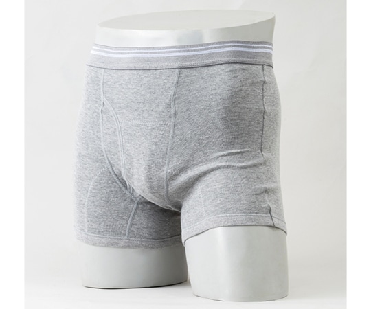 ニシキ（シニア・介護用品） DM紳士アシストデュアルパンツ グレー M H4715C-M-GY 1枚（ご注文単位1枚）【直送品】