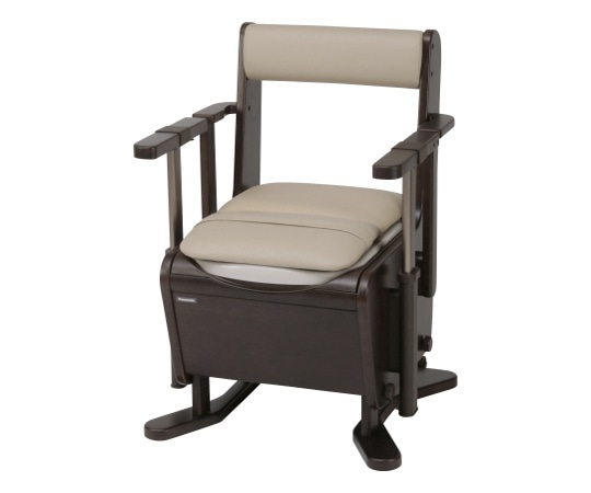 パナソニックエイジフリー 家具調トイレ〈座楽〉 昇降 脱臭 ソフト便座 PN-L23717 1個（ご注文単位1個）【直送品】