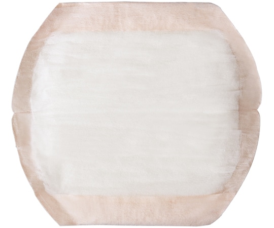 オオサキメディカル 吸収ケアパッド コンパクトサイズ ベージュ 60枚入  1箱（ご注文単位1箱）【直送品】