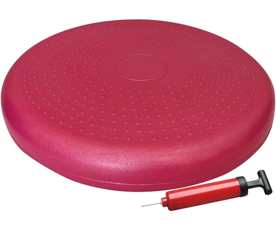 秦運動具工業 バランスディスク ポンプ付セット DK450P 1セット（ご注文単位1セット）【直送品】