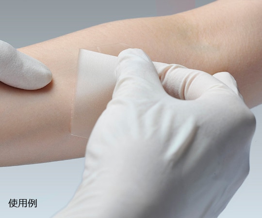 アルケア クリアヘッシブR 6号 1箱（10枚入） 19383 1箱（ご注文単位1箱）【直送品】