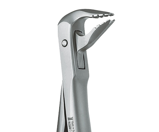 マイクロテック 抜歯鉗子 ROBA 下顎用 #36M h1223608z 1個（ご注文単位1個）【直送品】