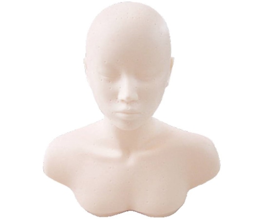 CML スキンマスターフェイス Q010260 1個(ご注文単位1個)【直送品】