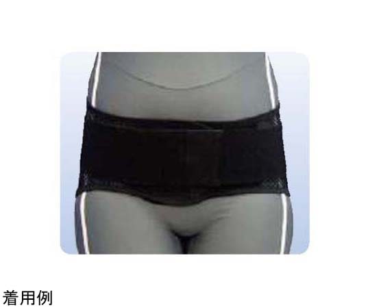 アシスト ウエストサポート ブラック（袋パッケージ） L 15213 1本（ご注文単位1本）【直送品】