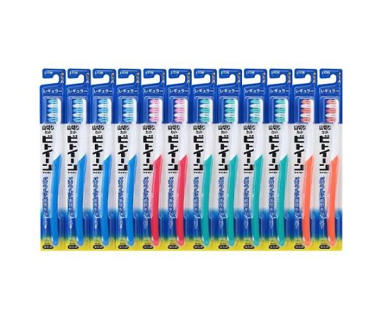 アズワン 歯ブラシ（ビトイーン/レギュラー/かため/12本） EA109DZ-23B 1箱（ご注文単位1箱）【直送品】