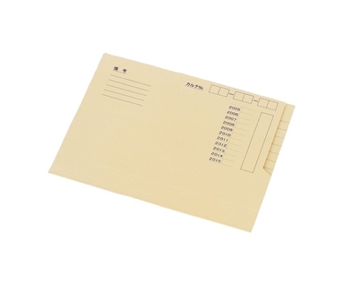 LIHITLAB サウザンドフォルダー 1箱（200枚入） HK702 1箱（ご注文単位1箱）【直送品】