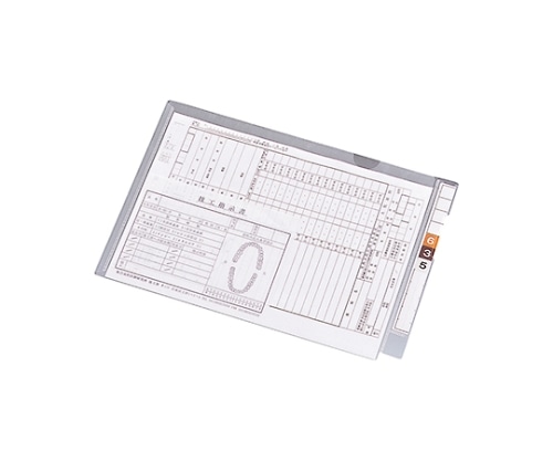 LIHITLAB カルテフォルダー（フラップ付）シングル<横型> 1箱（100枚入） HK2005 1箱（ご注文単位1箱）【直送品】
