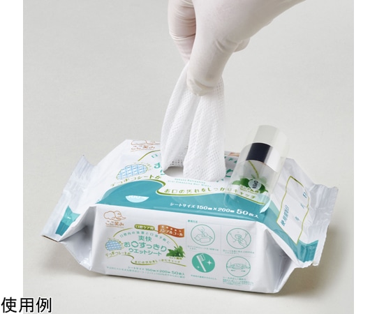 ハクゾウメディカル 爽快お口すっきりウエットシート ミント風味 150×200mm 50枚入 1156993 1個（ご注文単位1個）【直送品】