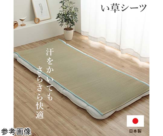 アズワン い草シーツ ブルー らダブル 約130×200cm 1122920041201 1個（ご注文単位1個）【直送品】