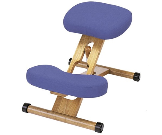 ミヤタケ（宮武製作所） 正しい姿勢キープ プロポーションチェア ブルー CH-88W（BL） 1脚（ご注文単位1脚）【直送品】
