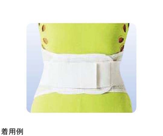 アシスト ウエストサポート（袋パッケージ） M 01637 1本（ご注文単位1本）【直送品】