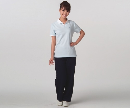 ディーフェイズ レディースポロシャツ サックス LL C-06 1枚（ご注文単位1枚）【直送品】