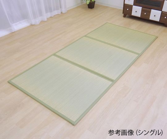 イケヒコ・コーポレーション 軽くてずれない貼るい草マットレスPRO ダブル 1360140011401 1枚（ご注文単位1枚）【直送品】