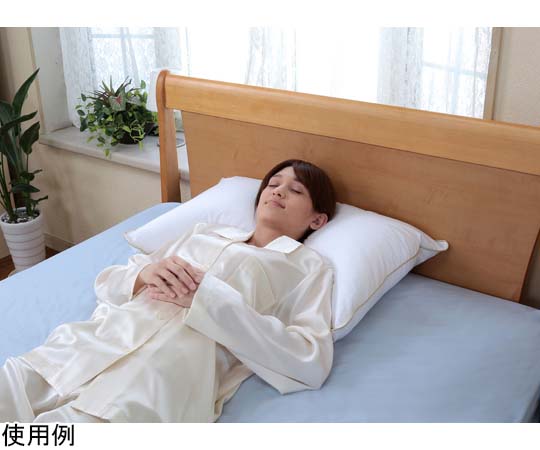 fossflakes フォスフレイクス クラシックピロー 50×70cm FF-5070-GP 1個(ご注文単位1個)【直送品】