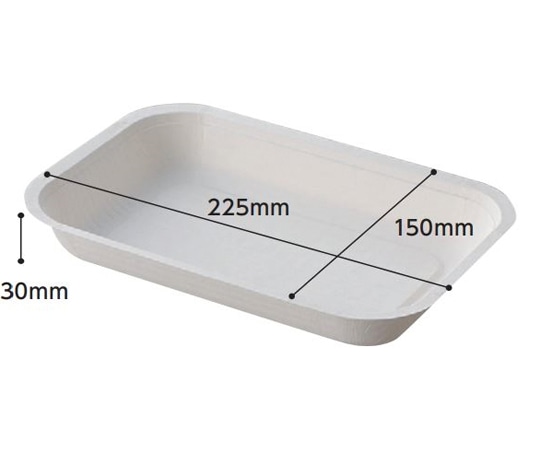 日昭産業 ディスポトレー D-2 1セット（100枚×2袋入） 13016 1セット（ご注文単位1セット）【直送品】