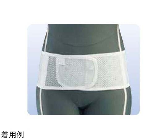 アシスト プロスリム・メッシュ アルミステイ M 09919 1本（ご注文単位1本）【直送品】