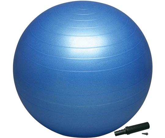 秦運動具工業 バランスボール セーフティ 55cm ポンプ付 DB55P 1個（ご注文単位1個）【直送品】