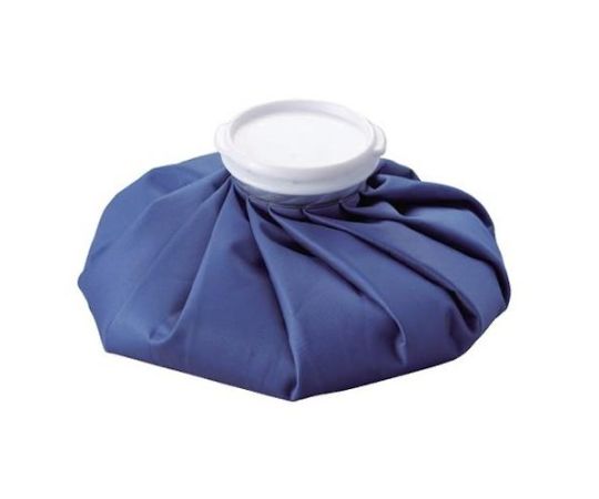 アズワン 1100mL アイスバッグ EA917HE-22 1個（ご注文単位1個）【直送品】