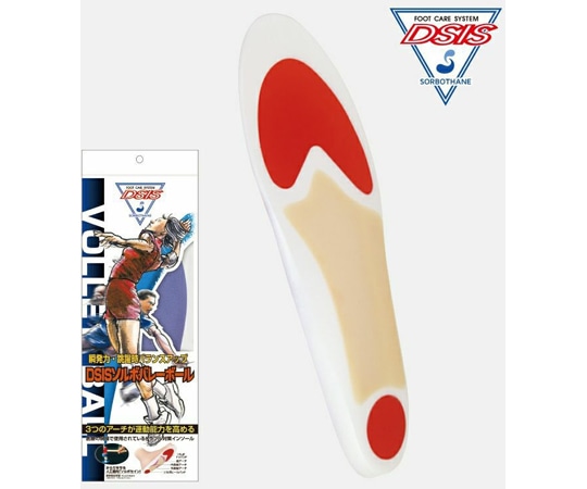 三進興産 DSISソルボバレーボール 2L  1足（ご注文単位1足）【直送品】